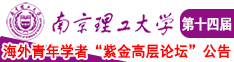 黄片逼视频南京理工大学第十四届海外青年学者紫金论坛诚邀海内外英才！